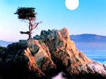 A moonlit night