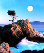 Pebble Beach