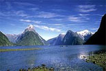 Piahia New Zealand